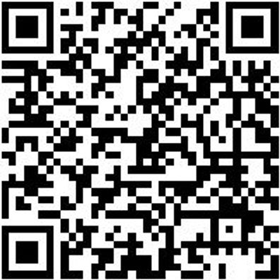 Gripzange Gerade Backen Grpzang-St-L170Mm