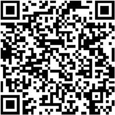 Schleifpapierrolle Trocken Tspap-Roll-P40-115Mmx25M