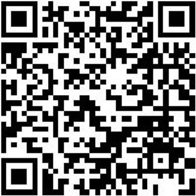 Gummiwischer Guwisch-(V-Streben)-Gummi-Alu