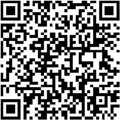 Gummiwischer Washieb-Blau-500Mm