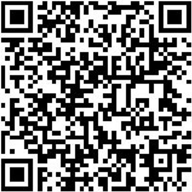 Gummiwischer Washieb-Gelb-500Mm