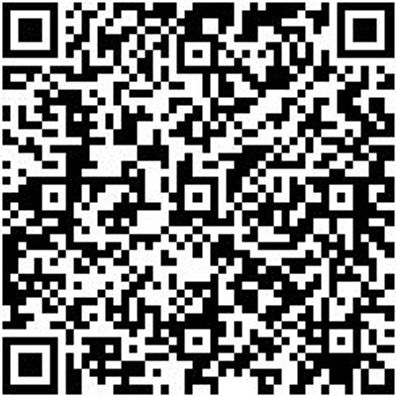 Schleifpapierrolle Trocken Tspap-Roll-P240-115Mmx25M