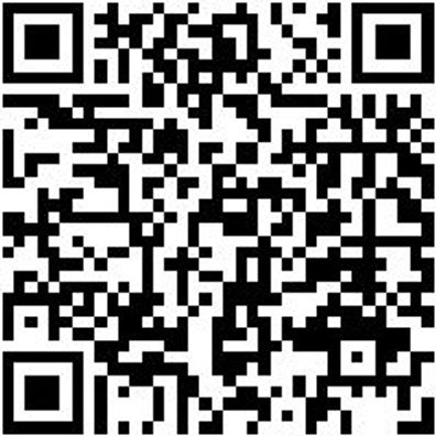 Hammerbohrer Max Bo-Ham-Max-Quadro-S-4Sprl-D25/320/200