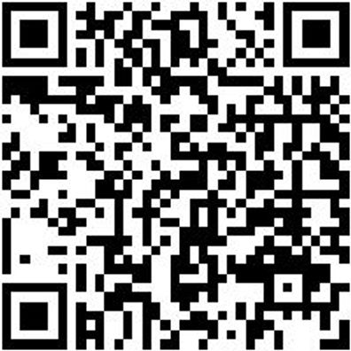 Hammerbohrer Max Bo-Ham-Max-Quadro-S-4Sprl-D18/340/200