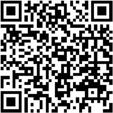 Hammerbohrer Max Bo-Ham-Max-Quadro-S-4Sprl-D22/520/400