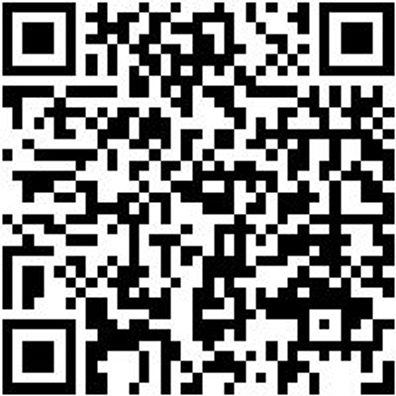 Hammerbohrer Max Bo-Ham-Max-Quadro-S-4Sprl-D25/920/800