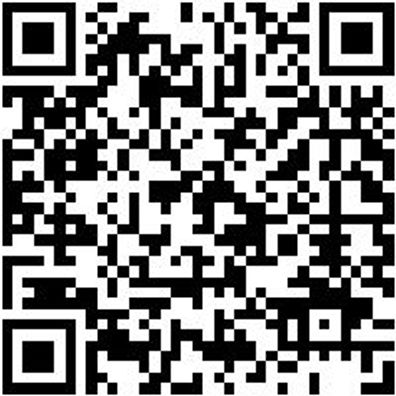 Schleifscheibe Gitter/Netz Sortiment/Set Shlfshb-Set-(P80-P320)-D150Mm-51Tlg