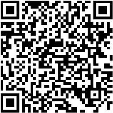 Schleifscheibe Gitter/Netz Sortiment/Set Shlfshb-Sort-(P80-P320)-D225Mm-26Tlg