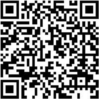 Schleifstift Shlfsti-Sp1320-Grob-S6Mm-D13-Al20Mm