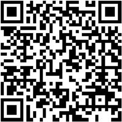 Schleifstift Shlfsti-Zy1013-Grob-S6Mm-D10-Al13Mm