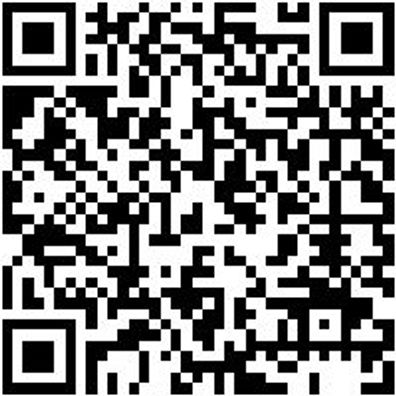 Schleifstift Shlfsti-Zy1320-Grob-S6Mm-D13-Al20Mm