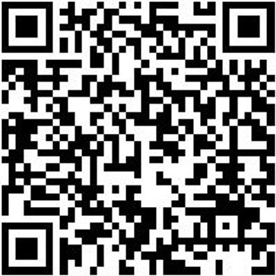 Schleifstift Shlfsti-Zy2012-Grob-S6Mm-D20-Al12Mm