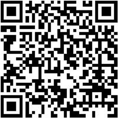 Schleifstift Shlfsti-Zy2030-Grob-S6Mm-D20-Al30Mm