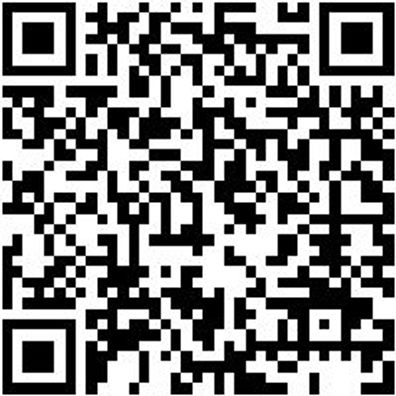 Schleifstift Shlfsti-Zy4020-Grob-S6Mm-D40-Al20Mm