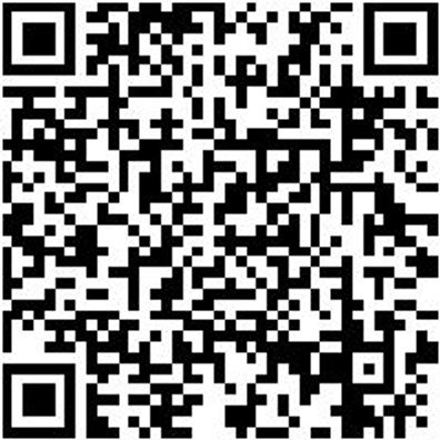 Schleifstift Sortiment/Set Shlfsti-Sort-Grob-10Tlg