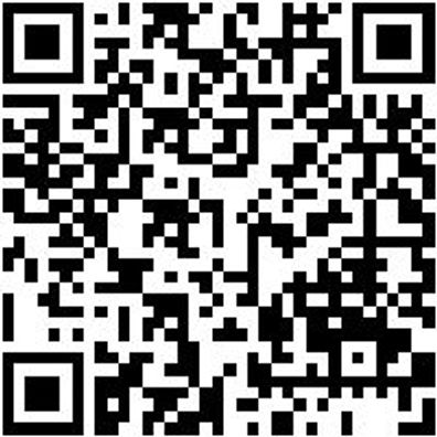 Schleifwalze Vlies Shlfwalz-Vli-K100-100X100Mm