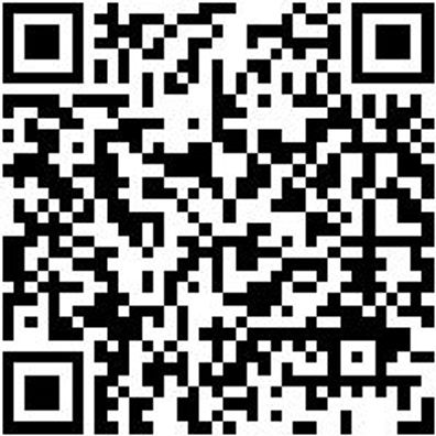 Schleifwalze Vlies Shlfwalz-Vli-400/Sehrfein-100X100Mm