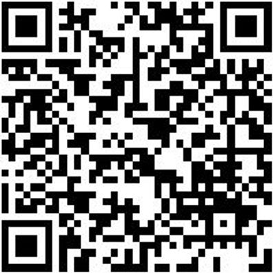 Schleifwalze Vlies Shlfwalz-Vli-Fein-115X100Mm