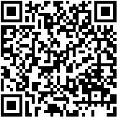 Schleifwalze Vlies/Leinen Shlfwalz-Lein/Vli-Kombi-K100/80-100X100