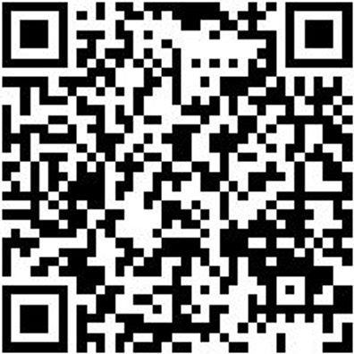 Schleifwalze Vlies/Leinen Shlfwalz-Vli/Lein-Mittel-115X100Mm