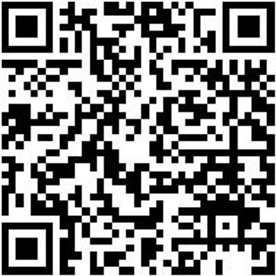 Schleifwerkzeug Für Multischneider Zb-Profilschleifteller-Klett-Starlock