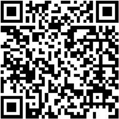 Schlosserhammer Shlosham-Hue-300G