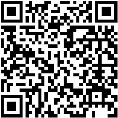 Schlosserhammer Shlosham-Hue-500G