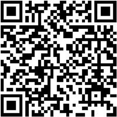 Schlosserhammer Shlosham-Din1041-100G