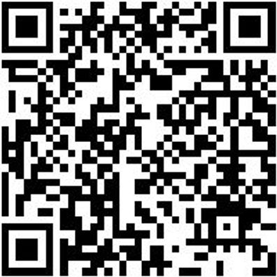 Schlosserhammer Shlosham-Din1041-1000G