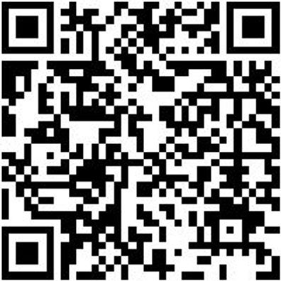 Schlosserhammer Shlosham-Din1041-300G