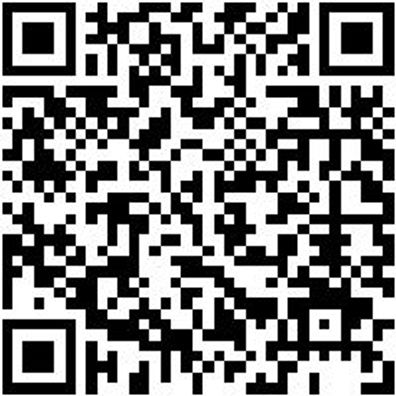 Schlosserhammer Shlosham-300G-Kststiel