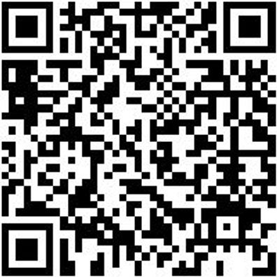 Schlosserhammer Shlosham-500G-Kststiel