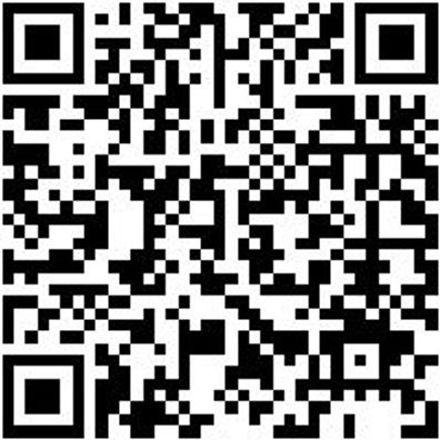 Schlosserhammer Shlosham-1000G-Kststiel