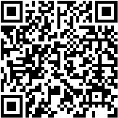 Schlosserhammer Shlosham-1500G-Kststiel