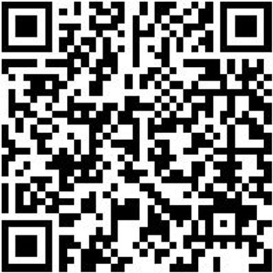 Schlosserhammer Shlosham-2000G-Kststiel