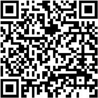 Schlüsselfeile Sortiment Shslfeil-Sort-6Tlg