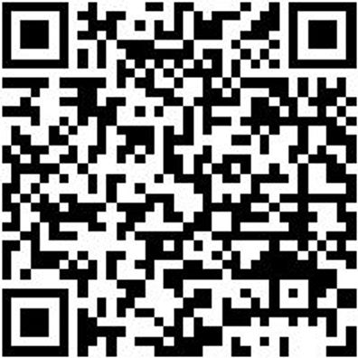 Durchtreiber Dutreib-2-L120Mm