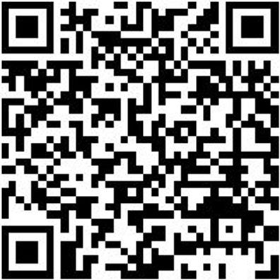 Durchtreiber Dutreib-3-L120Mm