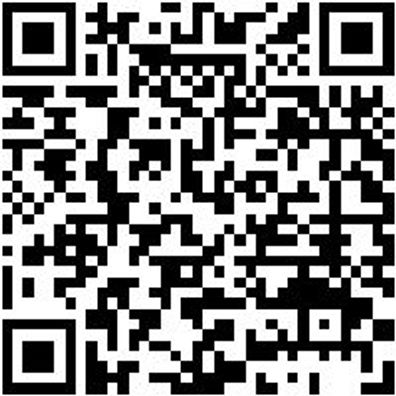 Durchtreiber Dutreib-6-L120Mm