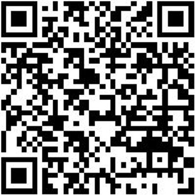 Durchtreiber Dutreib-10-L150Mm