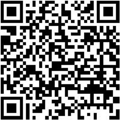 Durchtreiber Sortiment/Set Dutreib-Sa-(Gr2-8)-6Tlg