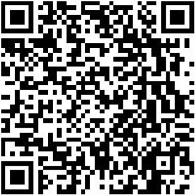 Schnellspanner Zubehör Andruekshr-(F. Shnlspn-Basic)-M8X63