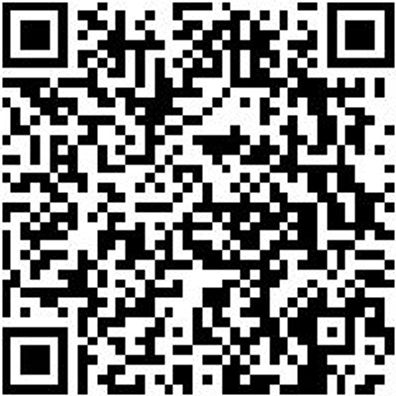 Schnellspanner Zubehör Andruekshr-(F. Shnlspn-Basic)-M10X85