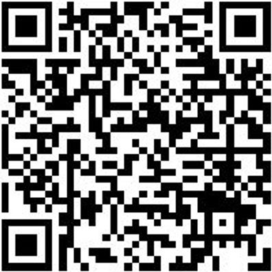 Entgratwerkzeug Zubehör Kstgrf-(Shndshb-Hss)