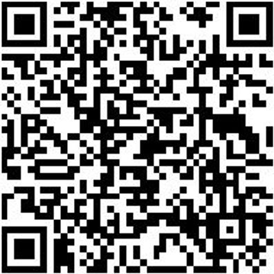 Schnellspannzwinge Shnlspnzwinge-Hbl-G-L200-B100Mm