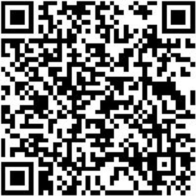 Schnellspannzwinge Shnlspnzwinge-Hbl-G-L250-B120Mm