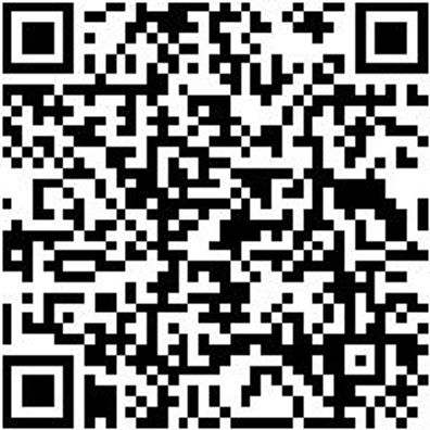 Schnellspannzwinge Shnlspnzwinge-Hbl-G-L300-B140Mm