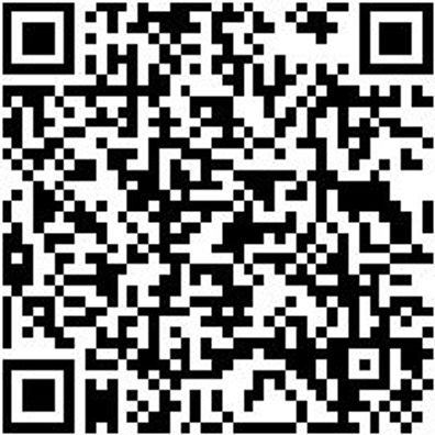 Schnellspannzwinge Shnlspnzwinge-Hbl-G-L400-B120Mm