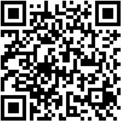 Schnellspannzwinge Shnlspnzwinge-300Mm