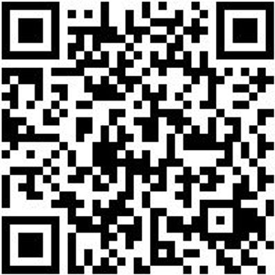 Schnellspannzwinge Shnlspnzwinge-700Mm